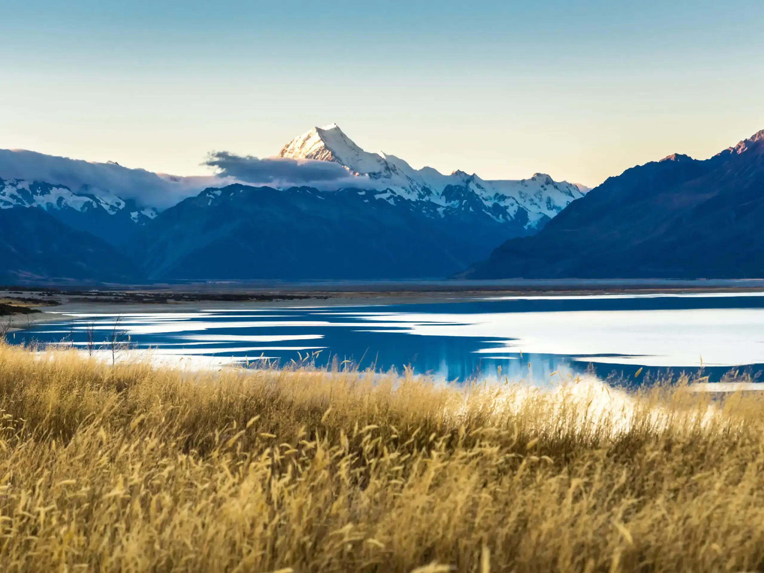 New Zealand Visa From Saudi Arabia