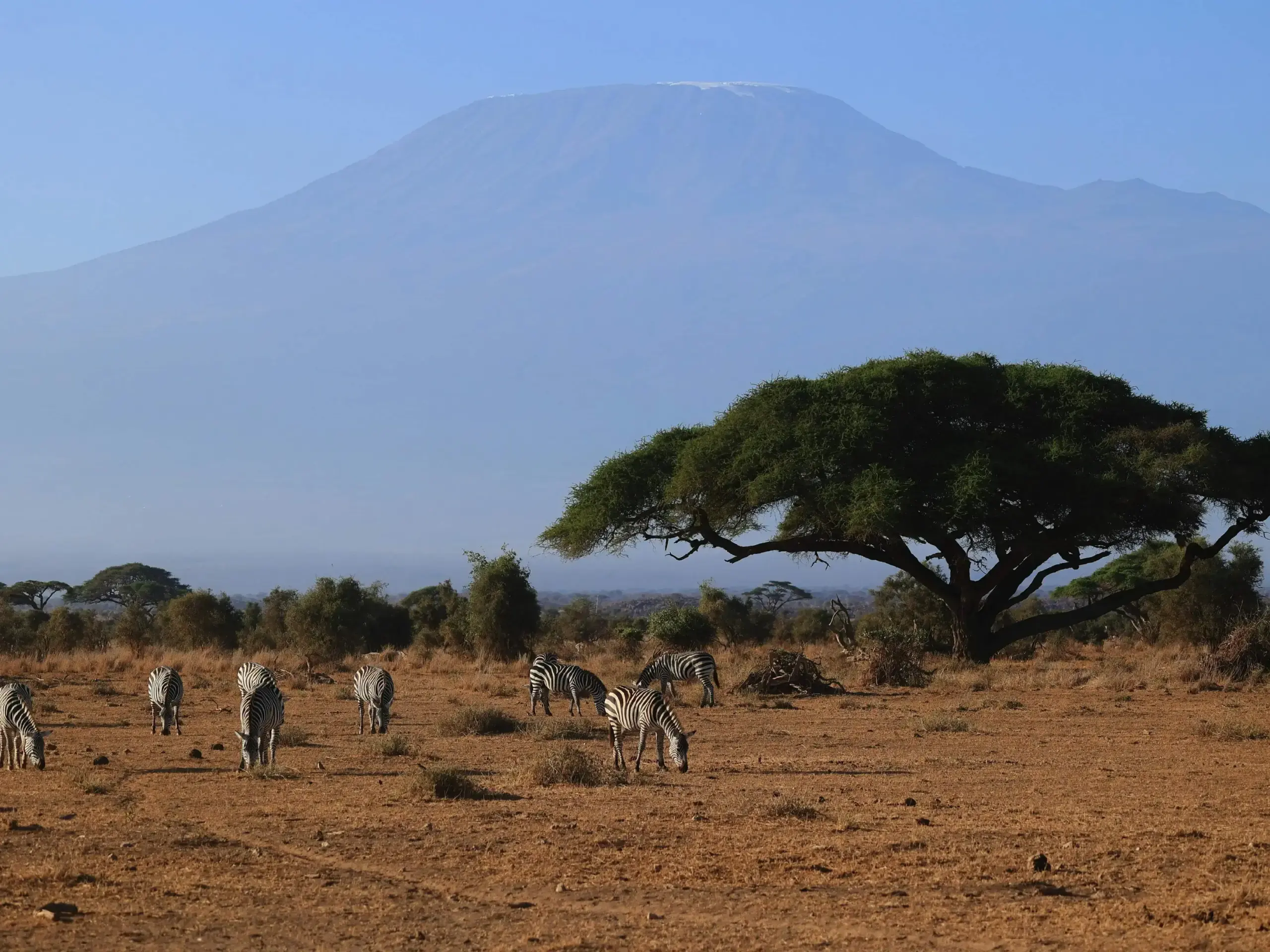 Kenya