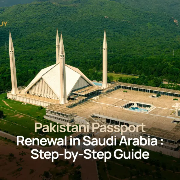 Sa blog pakistanpass Pakistani passport renewal in saudi arabia