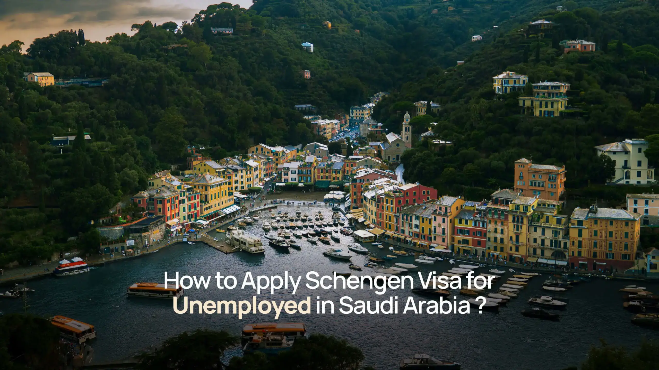 How to Apply Schengen Visa for Unemployed in Saudi Arabia
